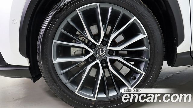 Lexus NX Luxury — пробег 18 135 км — фото 5 из 5