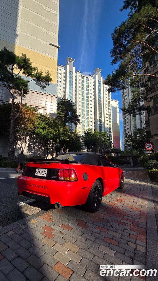 Ford Mustang из Кореи Encar