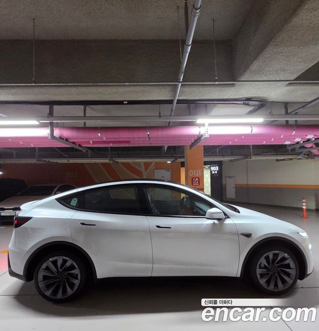 Tesla Model Y из Кореи Encar