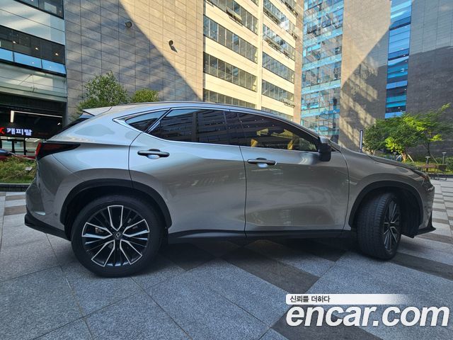 Lexus NX Luxury — пробег 23 857 км — фото 2 из 5
