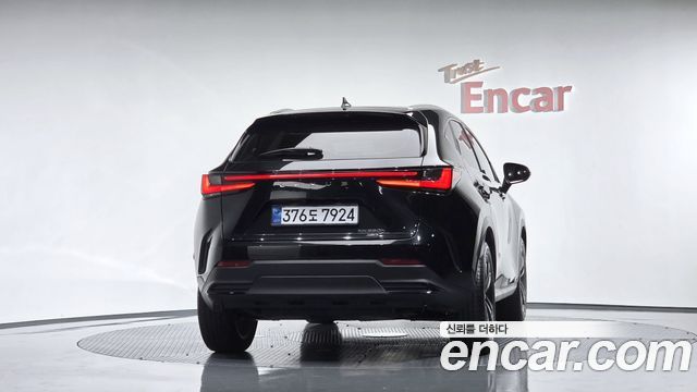 Lexus NX Premium — пробег 25 178 км — фото 4 из 5