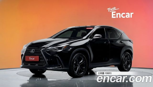 Lexus NX Premium — пробег 25 178 км — фото 1 из 5