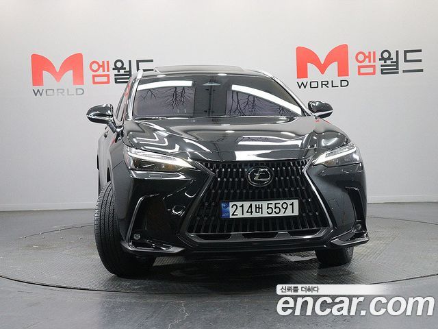 Lexus NX Premium — пробег 28 062 км — фото 2 из 5