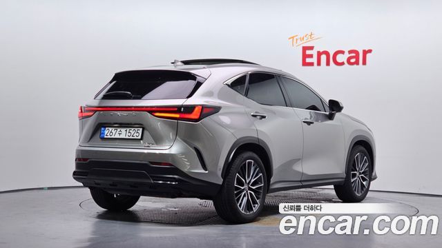 Lexus NX Luxury — пробег 17 685 км — фото 2 из 5