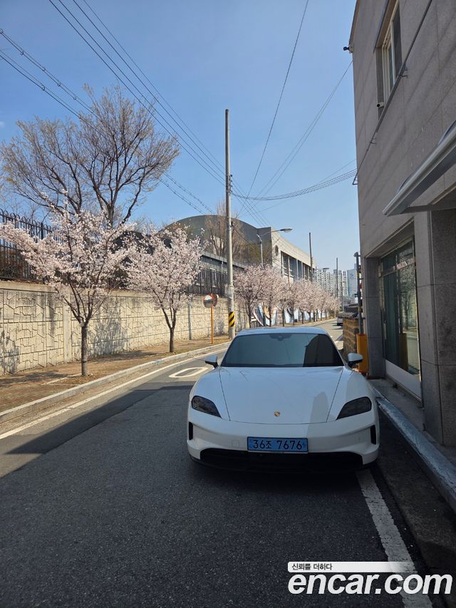 Porsche Taycan из Кореи Encar