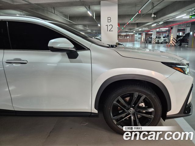 Lexus NX из Кореи Encar
