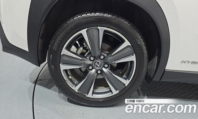 Lexus UX 2.0 AWD — пробег 85 618 км — фото 5 из 5