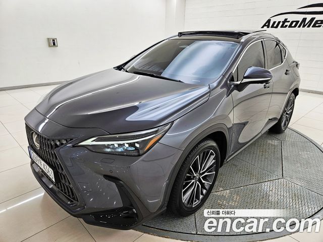 Lexus NX Luxury — пробег 38 958 км — фото 2 из 5