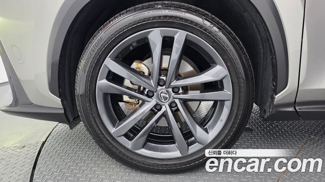 Lexus NX Premium — пробег 41 920 км — фото 5 из 5